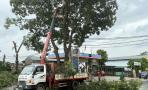 Ban CHQS xã Nghĩa Đàn huy động lực lượng cắt dọn cây xanh ứng phó bão số 10 (Bualoi)